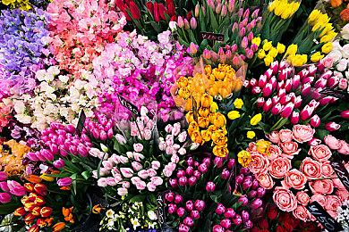 《怪物猎人物语2》Steam国区价格下调 降至298元