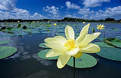 2024年美国最赚钱游戏排行 EA体育游戏霸榜